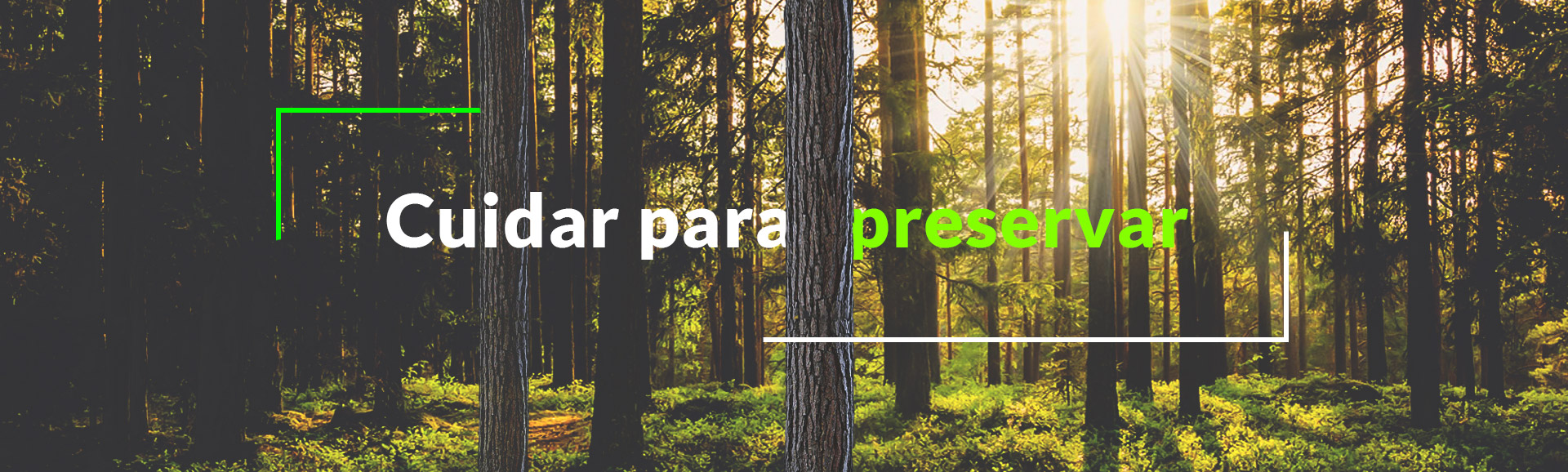 Cuidar para preservar